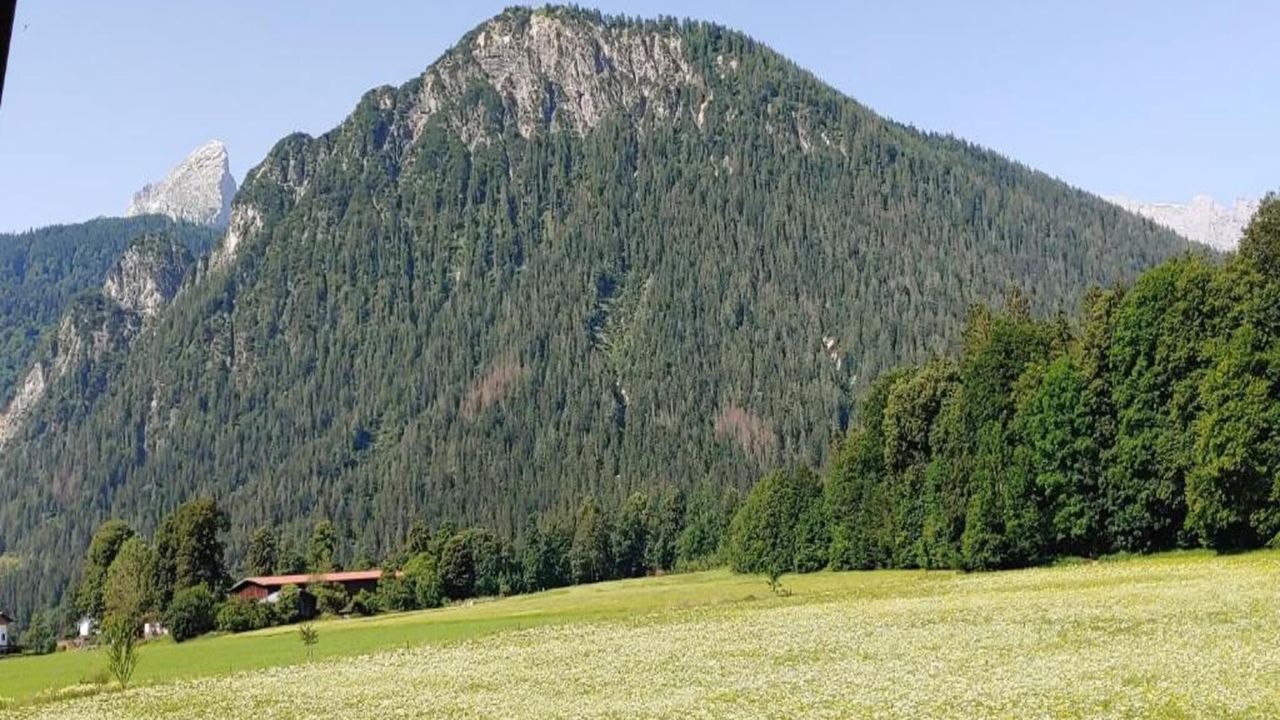 AreaSummer20KM AreaSummer20KM